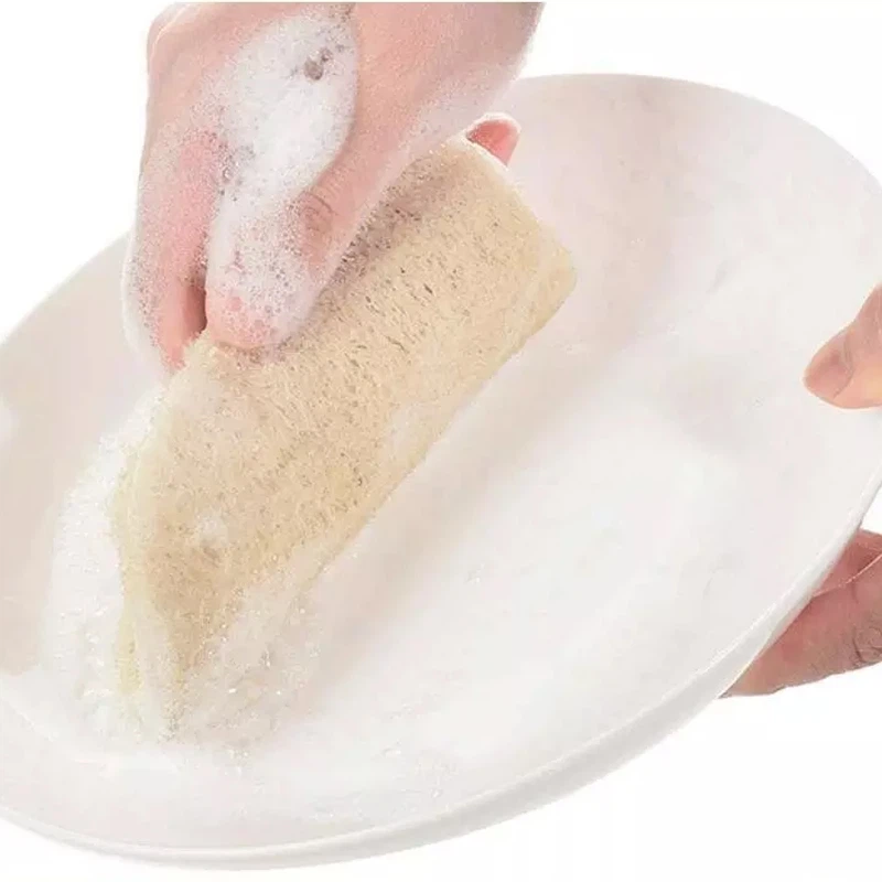  Kitchen Dish Loofah Pad