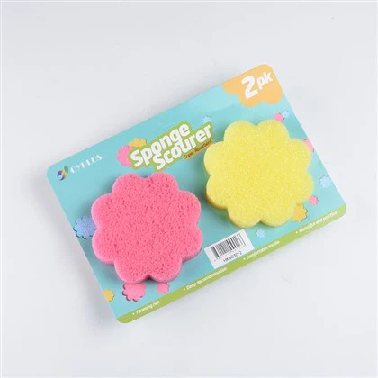 Scrub Sponges
